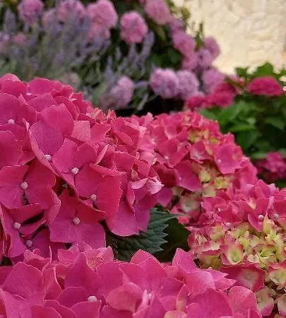 Hébergement de vacances House Fantasy With Pool