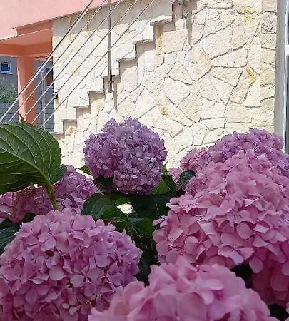 House Fantasy With Pool Hébergement de vacances