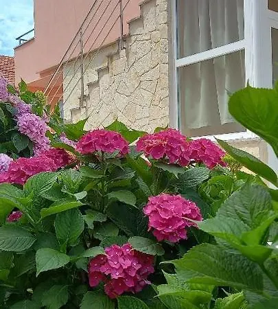 House Fantasy With Pool Šibenik