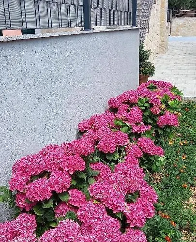 بيت للعطل House Fantasy With Pool *