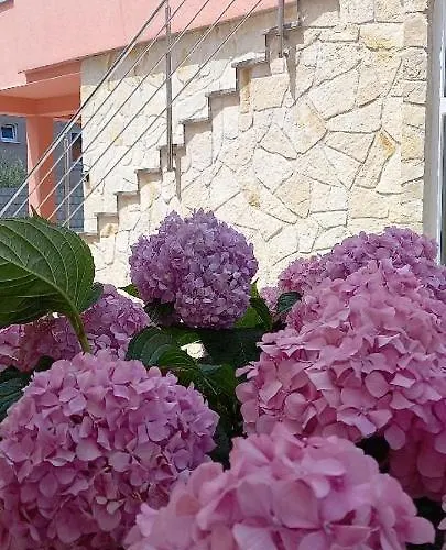 House Fantasy With Pool Vakantiehuis