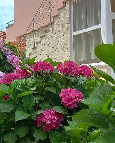 House Fantasy With Pool Šibenik